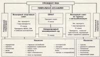 Структура ФИА